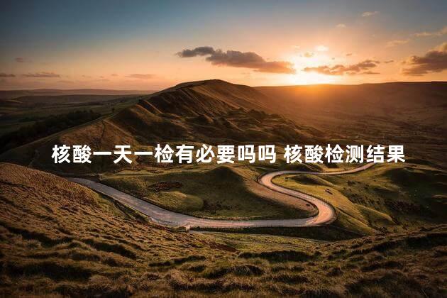 核酸一天一检有必要吗吗 核酸检测结果怎么看